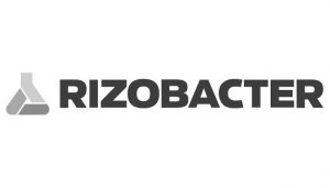 logo06-300x171