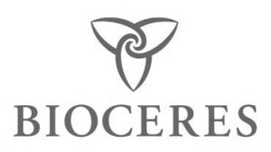 logo11-300x169